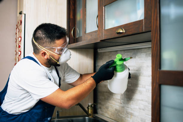 Best Pest Prevention Services  in Lucerne, CA