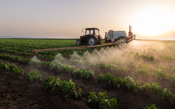 Best Pest Control Treatment  in Lucerne, CA