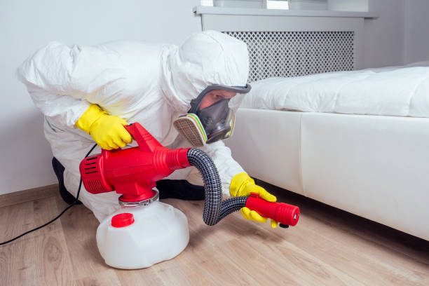 Trusted Lucerne, CA Pest Control Experts