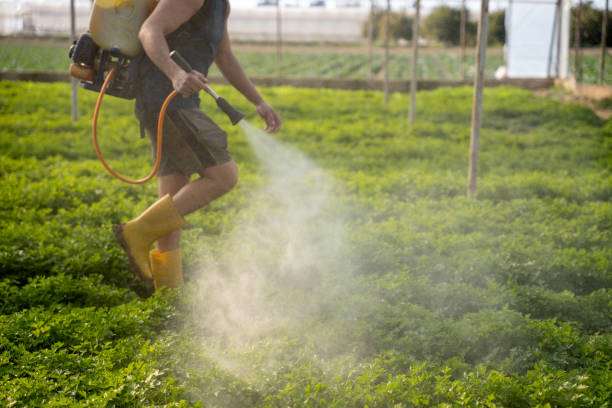 Best Commercial Pest Control Services  in Lucerne, CA